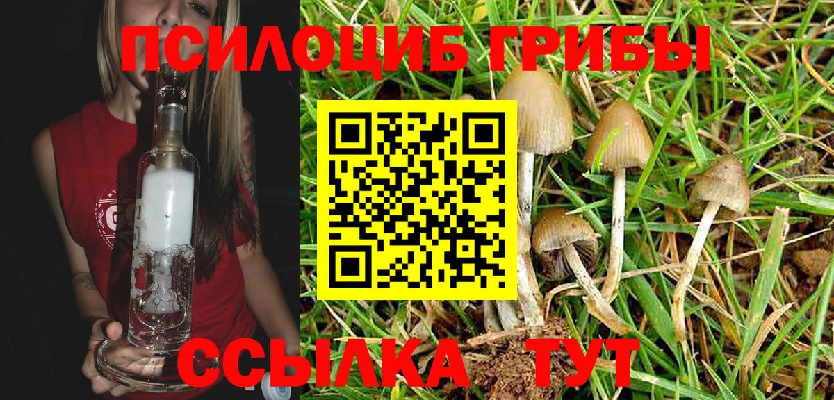 как найти   Вход с VPN  Галлюциногенные грибы MAGIC MUSHROOMS  Павлово  Псилоцибиновые грибы MAGIC MUSHROOMS 