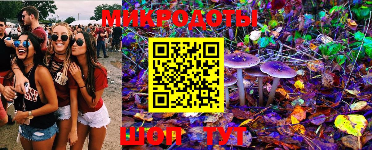 Галлюциногенные грибы прущие грибы Павлово