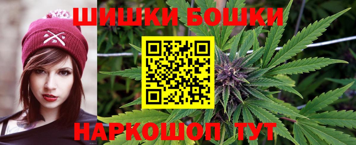 Бошки Шишки планчик Павлово
